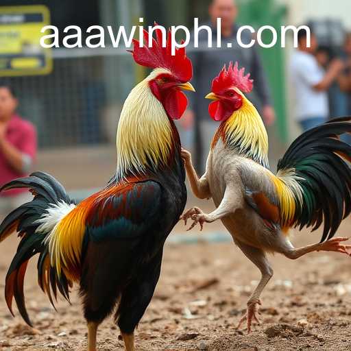 poker heads-up um contra um